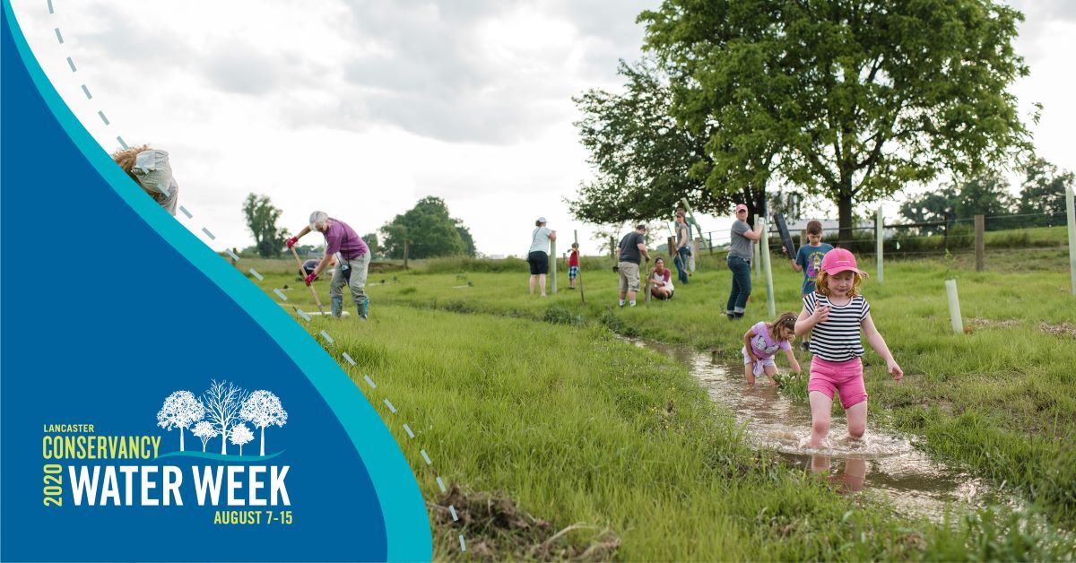 Facebook - Water Week C.jpg